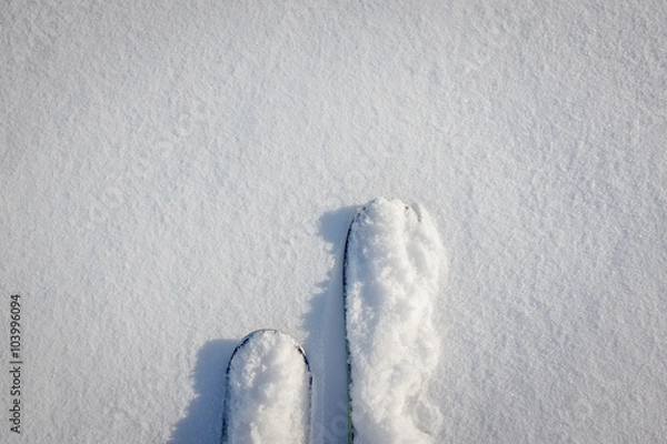 Obraz Snow covered skis in powder
