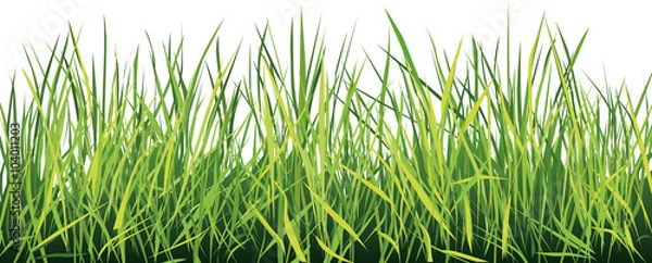 Fototapeta junges Gras