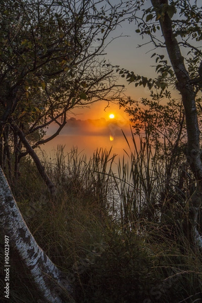 Obraz sunrise over untouched lake
