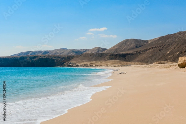 Fototapeta Exploring the serene turtle beach in Oman with stunning landscapes and crystal clear waters at sunset