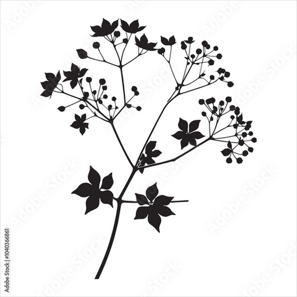 Fototapeta ivy flower silhouette on white background
