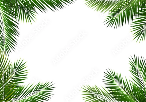 Fototapeta Palm Tree Branch Frame Isolated