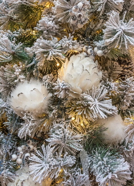 Fototapeta The fir branches in the frost are decorated with elegant cones