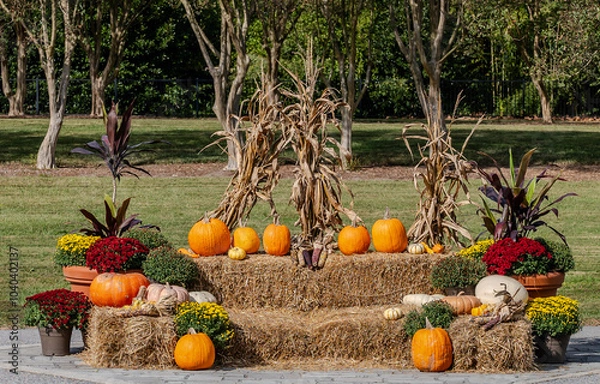 Fototapeta Festive Fall Setting Using  Pumpkins