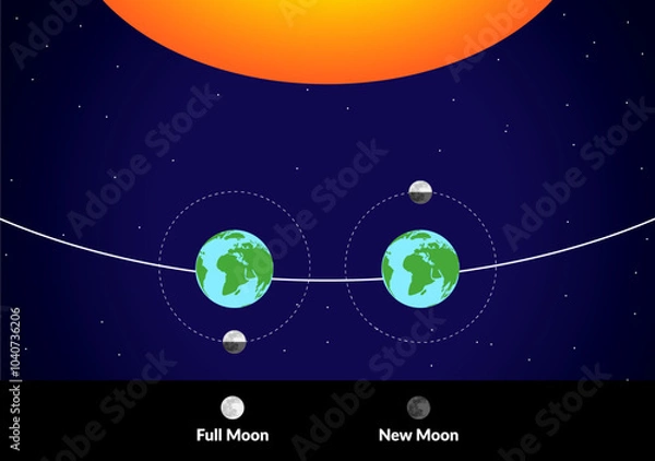 Obraz Moon Around the Earth with Sun and Lunar Phases of Full and New Moon Colorful Illustration