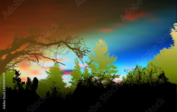 Fototapeta Wild forest landscape with sky, silhouettes of trees, branches and plants