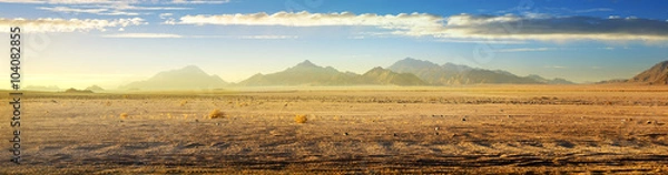 Obraz Zobacz na pustyni