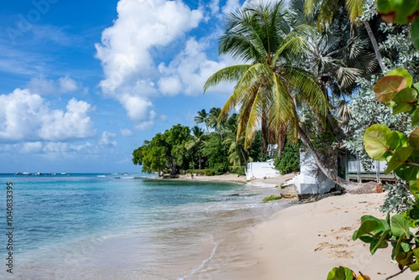 Obraz beach with coconut trees