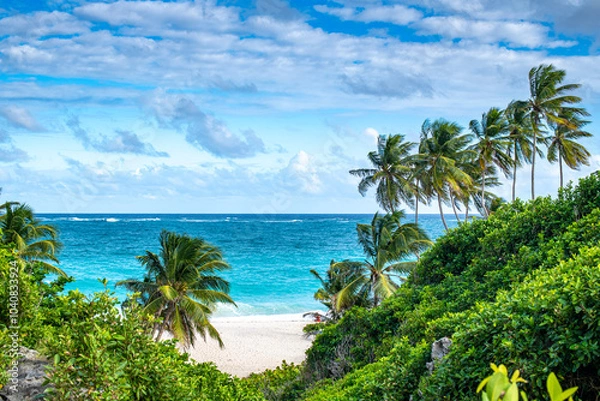 Fototapeta beach with palm trees
