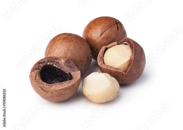 Fototapeta Macadamia nuts