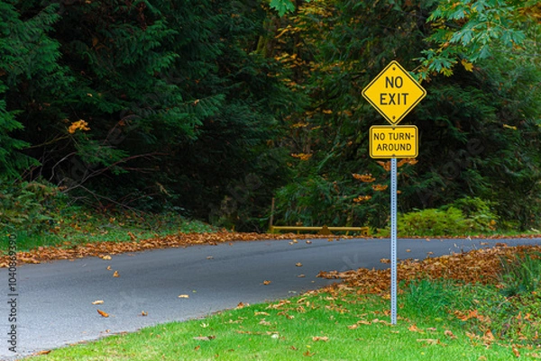Fototapeta An image of a bright yellow no exit sign on a local country road in early autumn. 