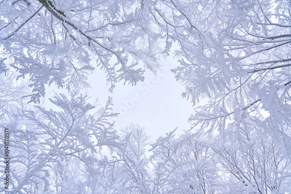 Obraz Snowy tree branches in mountain woods, winter sky. Amazing holiday time in forest