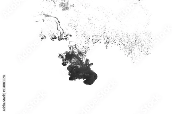 Fototapeta Black color-ink dye melt on white background,Abstract smoke pattern,Colored liquid dye,Splash paint