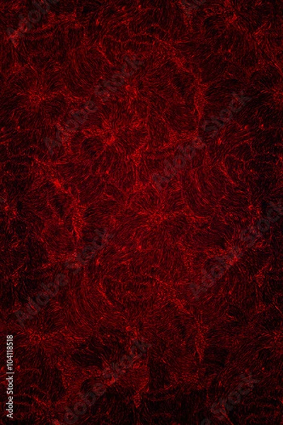 Obraz Abstract dark red background with floral patterns.