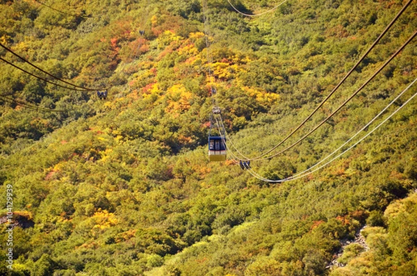 Fototapeta 大観峰の紅葉
