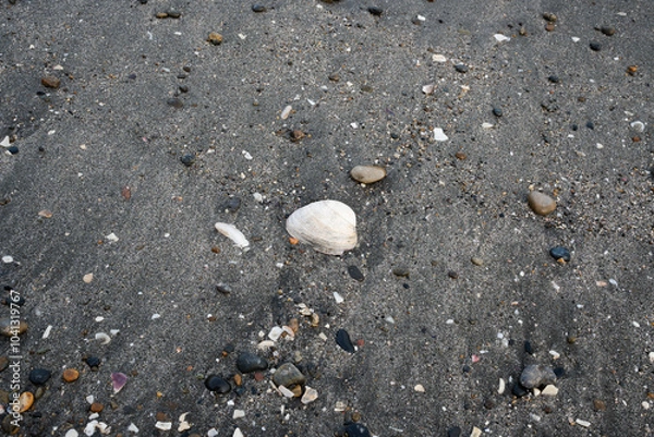 Obraz 海岸線の砂浜は場所によっては砂利の足を切りそうな貝殻やガラスの破片があります。横須賀市久里浜