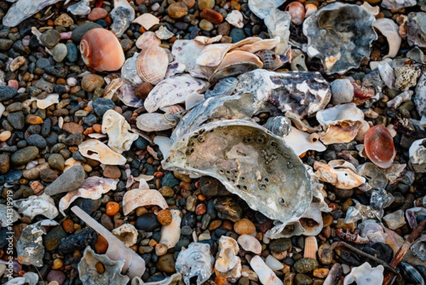 Obraz 海岸線の砂浜は場所によっては砂利の足を切りそうな貝殻やガラスの破片があります。横須賀市久里浜