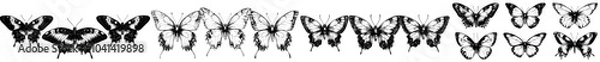 Obraz Vintage etching set of butterflies with open wings, ancient sketch of moths, black tattoos engraving on white.