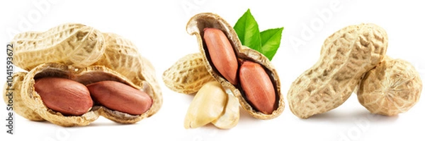Fototapeta set of peanuts isolated on a white background