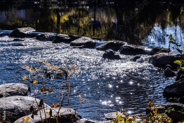 Obraz Light on water