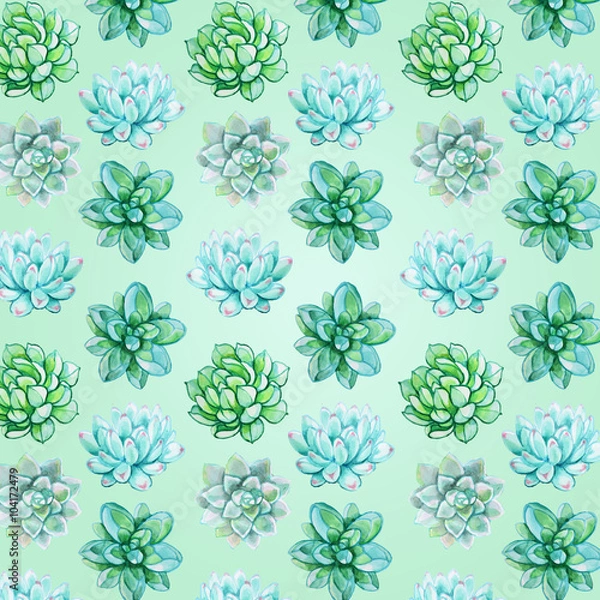 Fototapeta succulent pattern on a light green background
