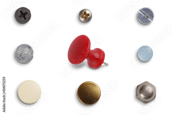 Obraz Different screw heads and pins isolated on white with clipping path