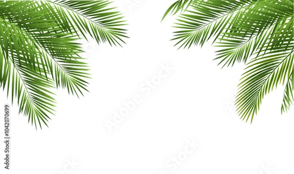 Obraz Tropical Palm Tree With Isolated White Background
