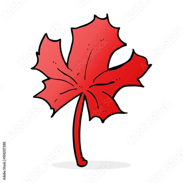 Fototapeta cartoon red maple leaf