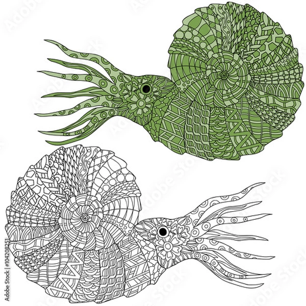 Fototapeta Hand drawn ammonite shellfish. Anti stress coloring page, zentangle art, ethnic doodle pattern.