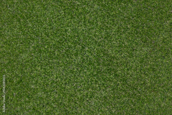 Fototapeta Artificial grass, covering. Artificial green grass mat, top view. Texture. Background. Artificial turf, surface made of synthetic fibers. Flat green grass texture background. Short grass