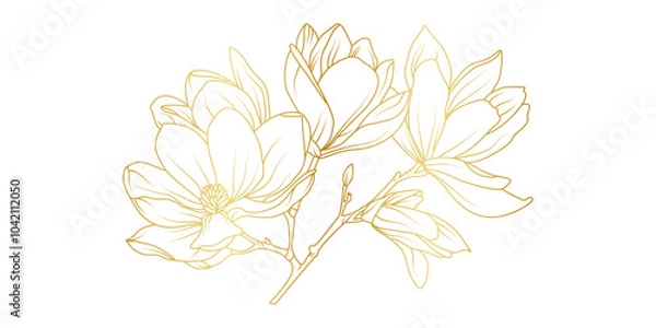 Obraz Golden magnolia flowers line art isolated on white background. Luxury magnolia floral design elements for invitation, wedding, wallpaper, print template, vector illustration