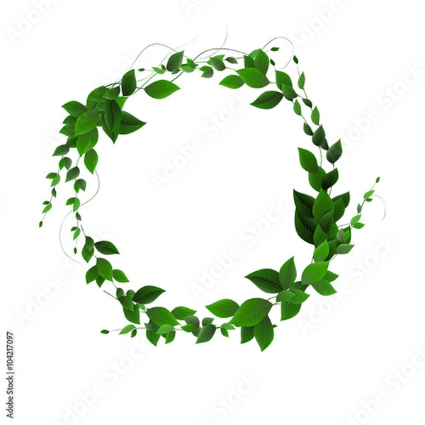 Fototapeta vector. Round banner of branches with leaves. Green leaves in a