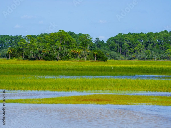 Obraz Low Country Marsh