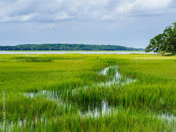 Obraz Low Country Marsh