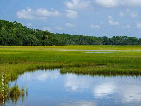 Obraz Low Country Marsh