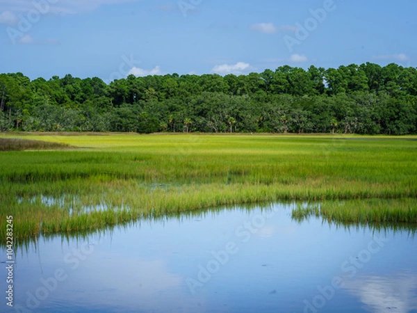 Obraz Low Country Marsh