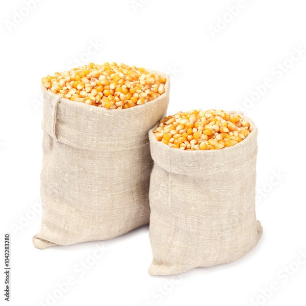 Fototapeta Fresh corn kernels in burlap sacks isolated on white