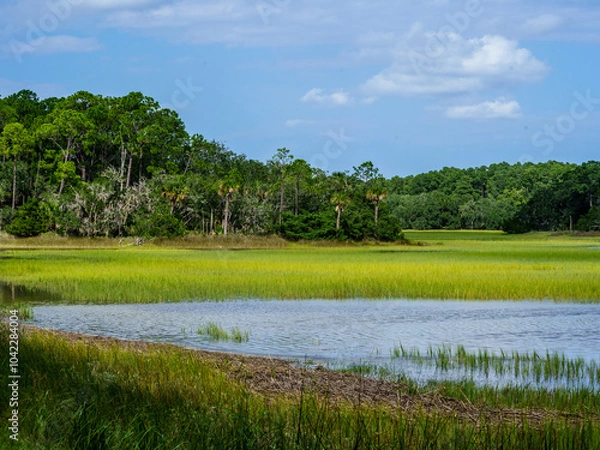 Obraz Low Country Marsh