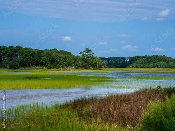 Obraz Low Country Marsh