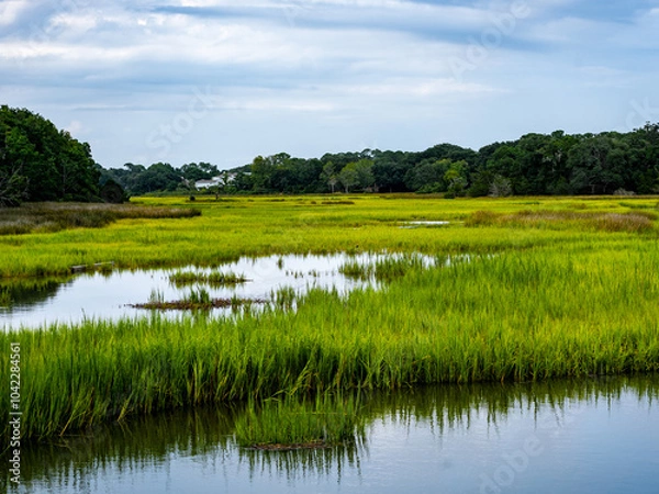 Obraz Low Country Marsh