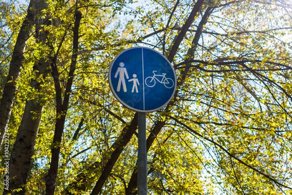 Obraz Close-up of white bike lane symbols on an asphalt path, with soft shadows from surrounding trees and fallen autumn leaves scattered nearby