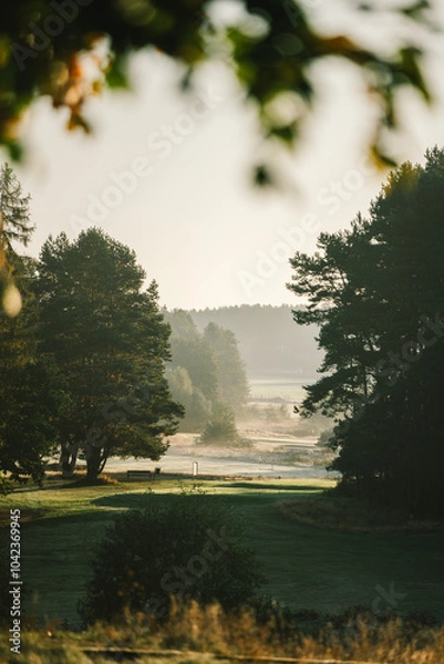 Obraz morning fog on golf filed
