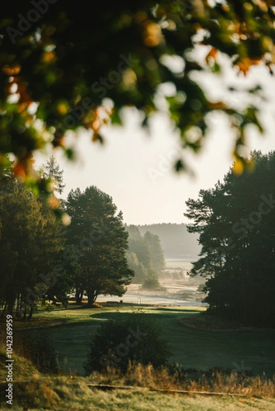 Obraz morning fog on golf filed