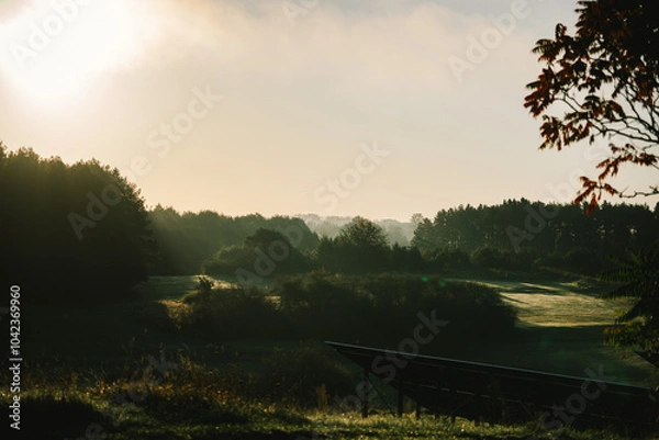 Obraz morning fog on golf filed