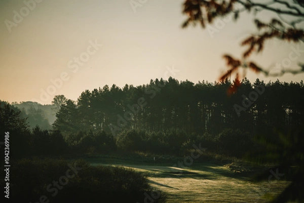 Obraz morning fog on golf filed