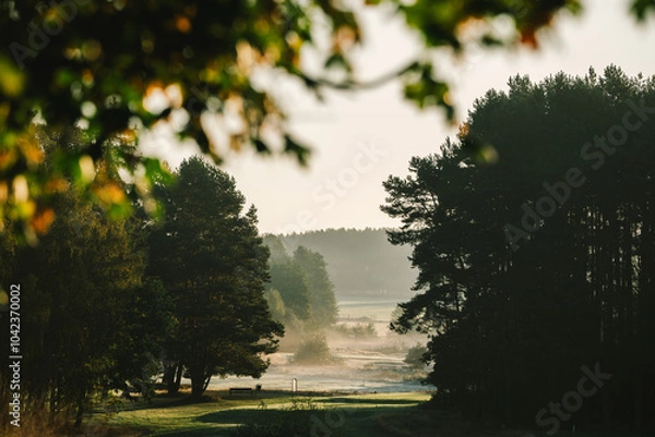 Obraz morning fog on golf filed