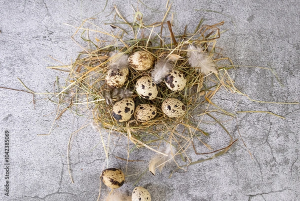 Obraz Fresh quail eggs. Rustic style 