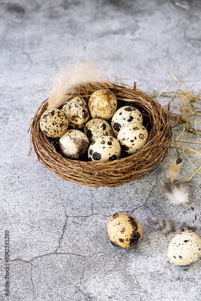 Obraz Fresh quail eggs. Rustic style 