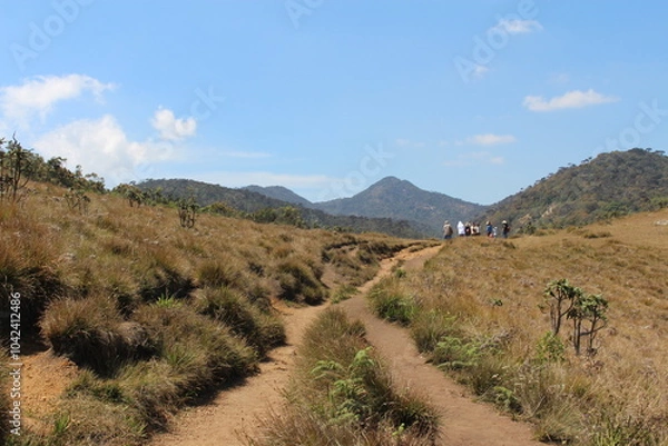 Obraz path through the plains