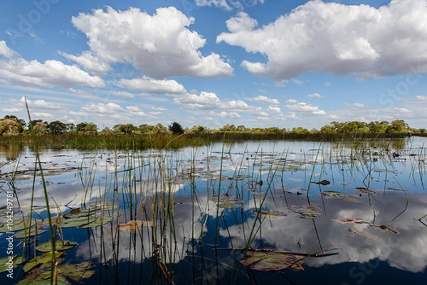 Obraz Okavango river